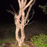 변산반도펜션 부안펜션 후기 - <b>선셋</b>펜션 도대체 뭐하는 짓입니까?