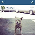 [<b>xoxo</b>] 찬열/타오 인스타업데~~ㅎㅎ