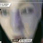 [EXO] 시우민오지는듯