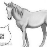 [EXO] 가사틀렸다고 미워하는<b>수니</b>