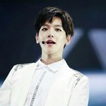 [백현] ㅅㄷ)꽃님이들 나좀 도와줘