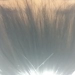 시스루<b>뱅</b>망함