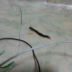[EXO] 아니시발애들아지네가존나<b>비상식적</b>으로커