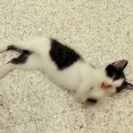 [박박박] 뒹굴~ 뒹굴~ 뒹구구구구<b>우우</b>우울