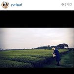 <b>요니</b>P가 쓰는 안티에이징 크림! 궁금하시죠??