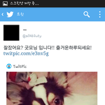 [비스트] <b>양갱</b>이 트윗