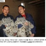 [콜로라도] "설마했는데 너..." <b>대륙</b>산 고양이의 위엄...