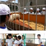 [공포베스트] 열도의 <b>동심</b>파괴