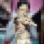 [하숙냥이] 우리집에 하숙중인 길냥이들 5