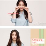 [<b>정자</b>매]  귀염돋는 익살스런 표정  크리스탈-제시카