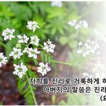 신천지, <b>진리</b>의 성읍