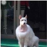 [짤북] 해킹 당해서 투구 <b>털림</b>.jpg