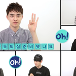 [도경수] 엑소-k ask <b>in</b> a box ~ (경수 중심 관전...