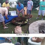 미국의 해물찜 스<b>캐일</b>....