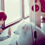 [EXO] 다가가지마 <b>Baby</b> 그 날개가 젖으니