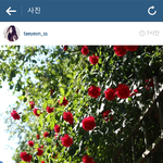 [EXO] 아니시발내가 <b>태연</b>인스타그램