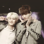 [EXO] @@@병먹금하고 짤 정화<b>합세</b>@@@