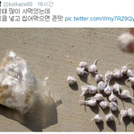 [짤북] 세대차이를 <b>이용</b>한 약팔이