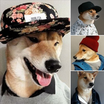 개만도 못한 남친...진짜 고민이다..