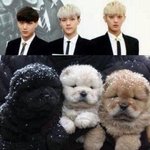 [EXO] 나는 ㅈㄴ 가만히 있어야겠다