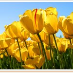 [신천지] 신천지 십<b>사만</b>사천