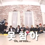 [EXO] 니들 기자들 구씹 존나 잘믿는다 <b>순진</b>한거야?
