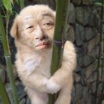 [EXO] 얘들아 일단 타<b>퀴어</b>그로는 무시하자
