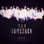 [EXO] 2014년은 참 엑소의 <b>수난</b>시대