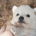 [피아노건반] 피아노건반 + 여섯<b>꼬물</b>이들