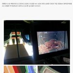 대한민국 <b>국보</b>1호 근황.jpg