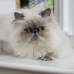 [아리와<b>베리</b>] 애들아! 놀자 그리고 목욕하자.그리고 물마시자.