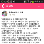 임신한 반려견을 버리는 사람이 있네요..