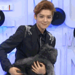 [EXO] 강아지 들고있는게 어색한 루한ㅋㅋㅋㅋㅋㅋ