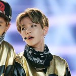 [EXO] 크리스탈퇴이후 엑소팬들필독