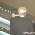 [EXO] 도경수보고 웃어버리는 <b>막내</b>라인