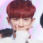 [EXO] 찬열이 오늘 글썽 거렸구나