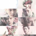 [EXO] 인티가서 <b>정지</b>받을 파티원구함