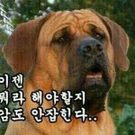 [EXO] 크리스 진심 캐캐캐무섭다.. ㄷㄷ