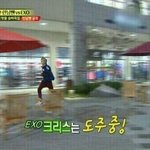 [EXO] 사건터지고부터 일관되게 둘기깠는데
