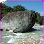 [짤북] 물고기 형상 <b>바위</b>..