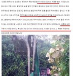 [짤북] 대륙의 <b>이무기</b>