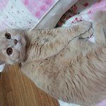 이쁜이 사진 <b>투척</b>