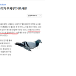 [EXO] 비둘기의_<b>습성</b>.jpg_ 