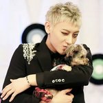 [EXO] 막<b>콘</b>이왜인기가많아???