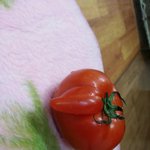 [EXO] 엇..<b>토마</b>토마토가
