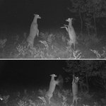 [EXO] 루한의 밤<b>문화</b> (충격<b>주의</b>)