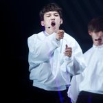 [EXO] 뒤에 비둘기좀 지워주세요