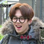 [블락비] 벌들 없어??ㅠㅠㅠ