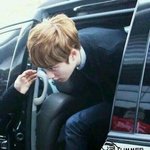 [EXO] 경수 금발