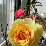 [운동장] 이제 슬슬 잘 준비 할 시간